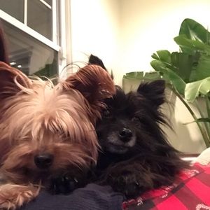 Meet your Posher, Ashley